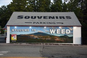 WEED CA - AUG 11: Weed is full of Double entendre's, T shirts, signs and souvenirs related to cannabis. The town of Weed derives its name from the founder of the local lumber mill and pioneer Abner Weed in 1897 photographed August 11, 2019 Weed, Siskiyou County ,California (Photo by Paul Harris/Getty Images)