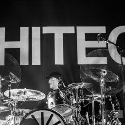 Architects Fillmore Denver 32 1