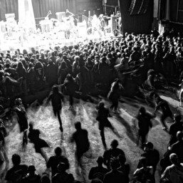 Balmora BK Steel 2025 4