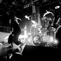 Fleshwater BK Steel 2025 3