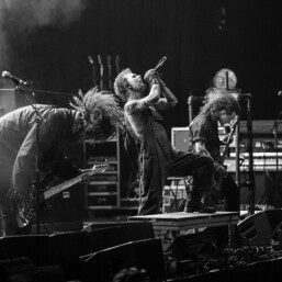 Vended Denver Fillmore 2025 19