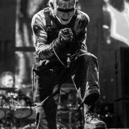 Vended Denver Fillmore 2025 6