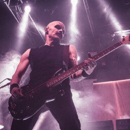 AFI Fillmore Denver 2025 2