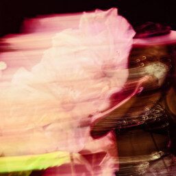 Yuniverse Brooklyn Steel NY 2025 21