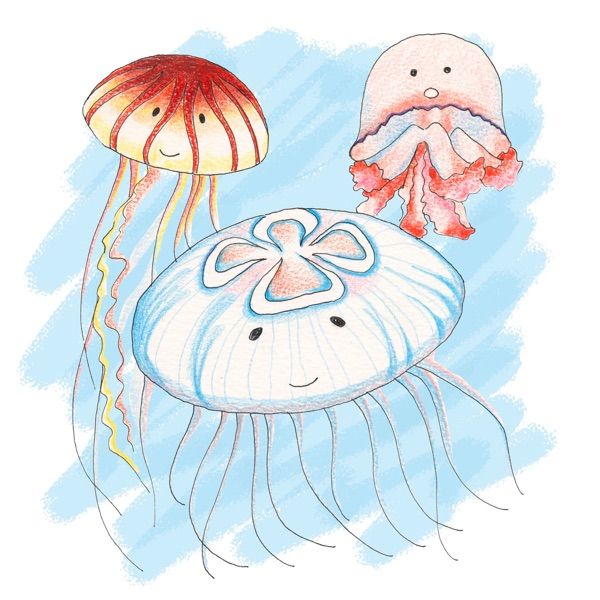 Image may contain Animal Sea Life Invertebrate Jellyfish Baby and Person