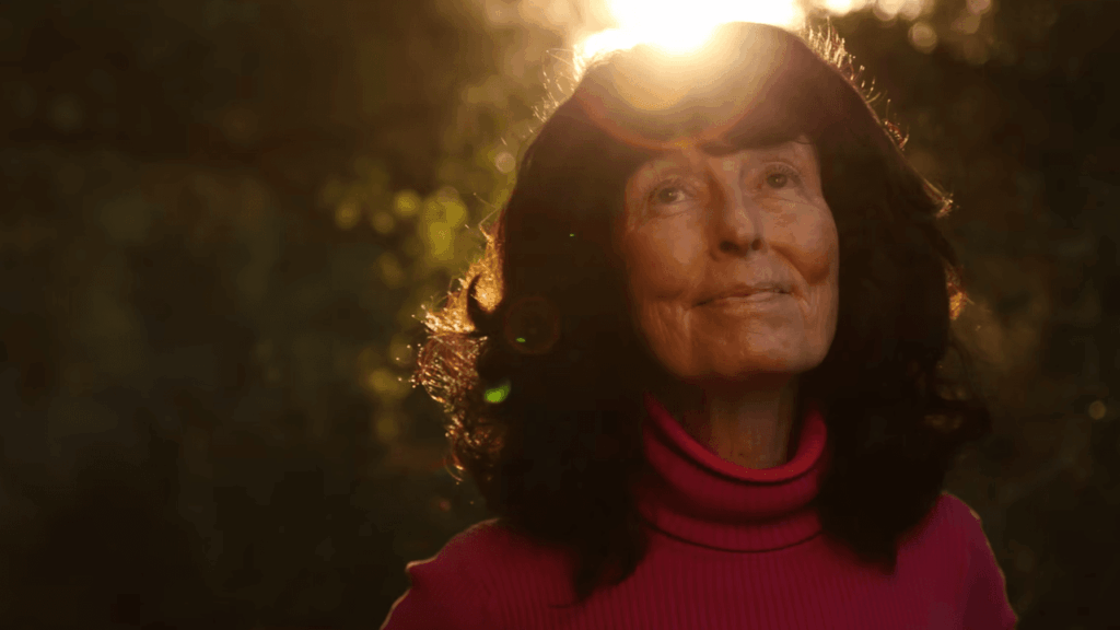 Folk Icon Linda Perhacs Reported Missing
