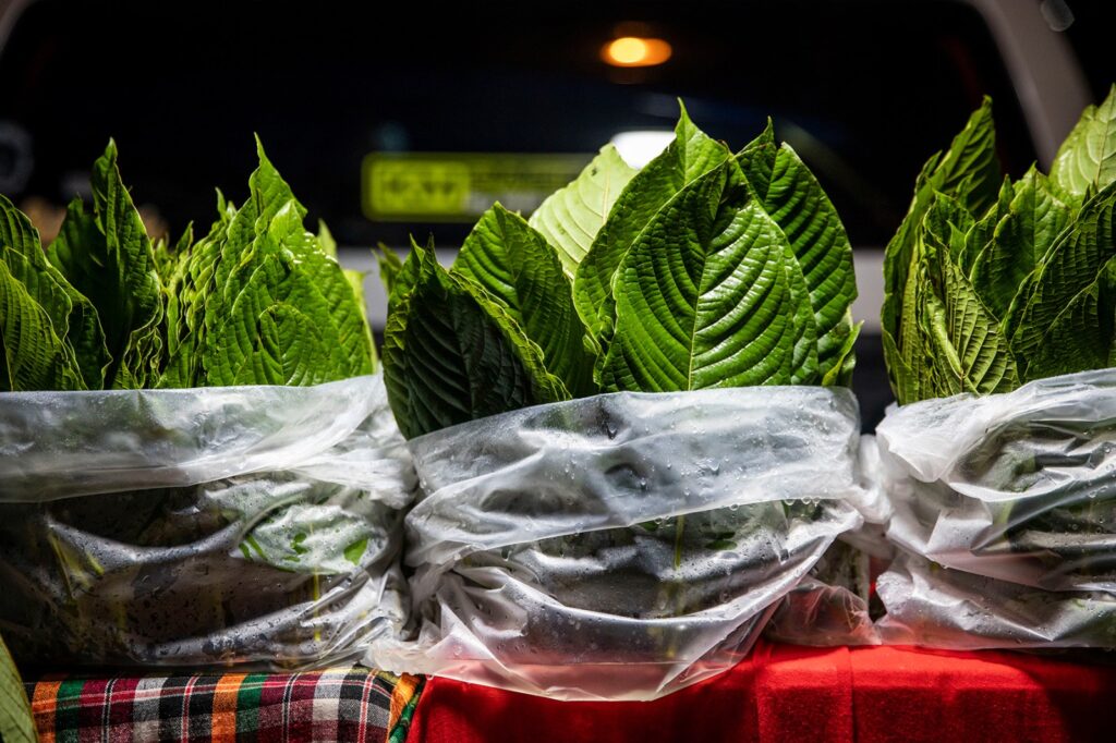 The DEA's Kratom Crackdown: A Battle Over Industry Control